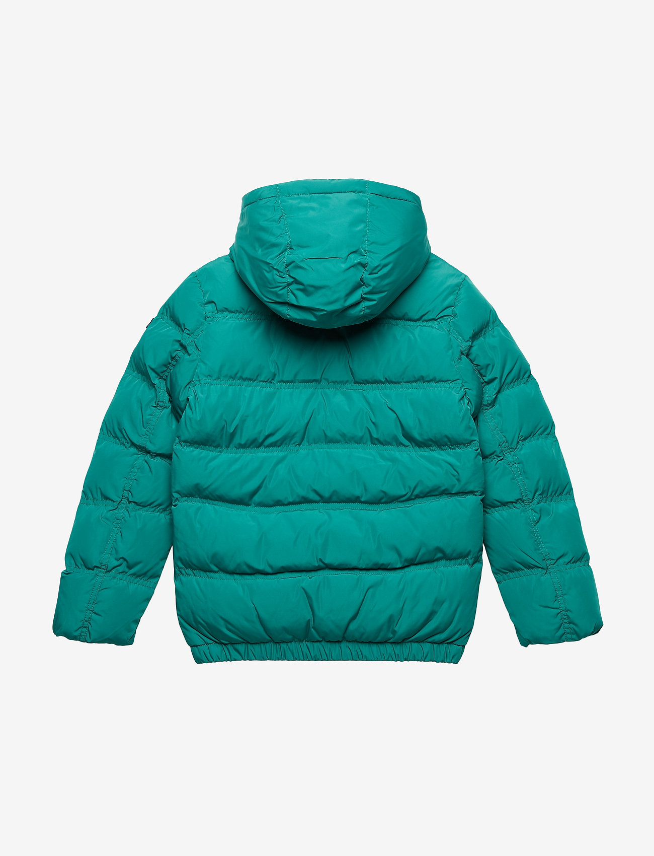 Tommy Hilfiger - ESSENTIAL PADDED JACKET - shady glade - 1
