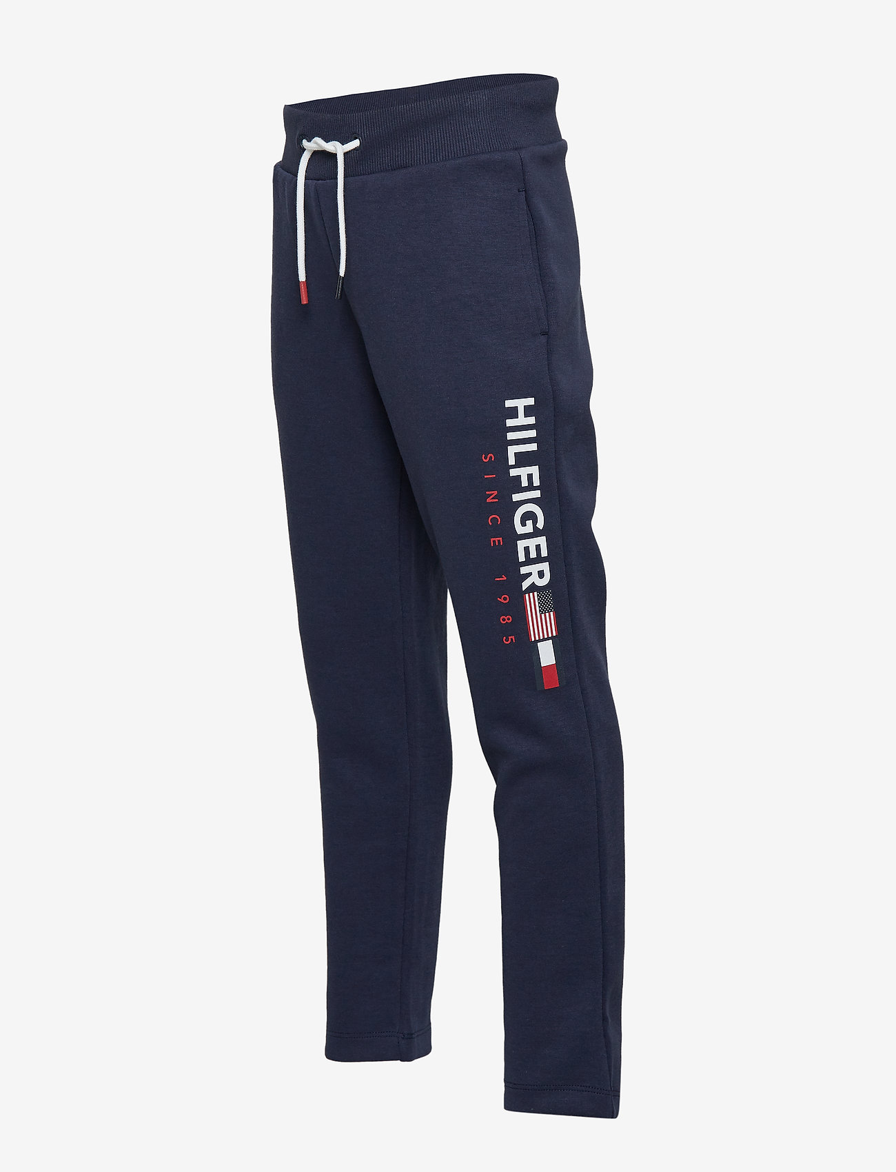 Tommy Hilfiger - FLAG INTERLOCK PANTS - black iris - 2