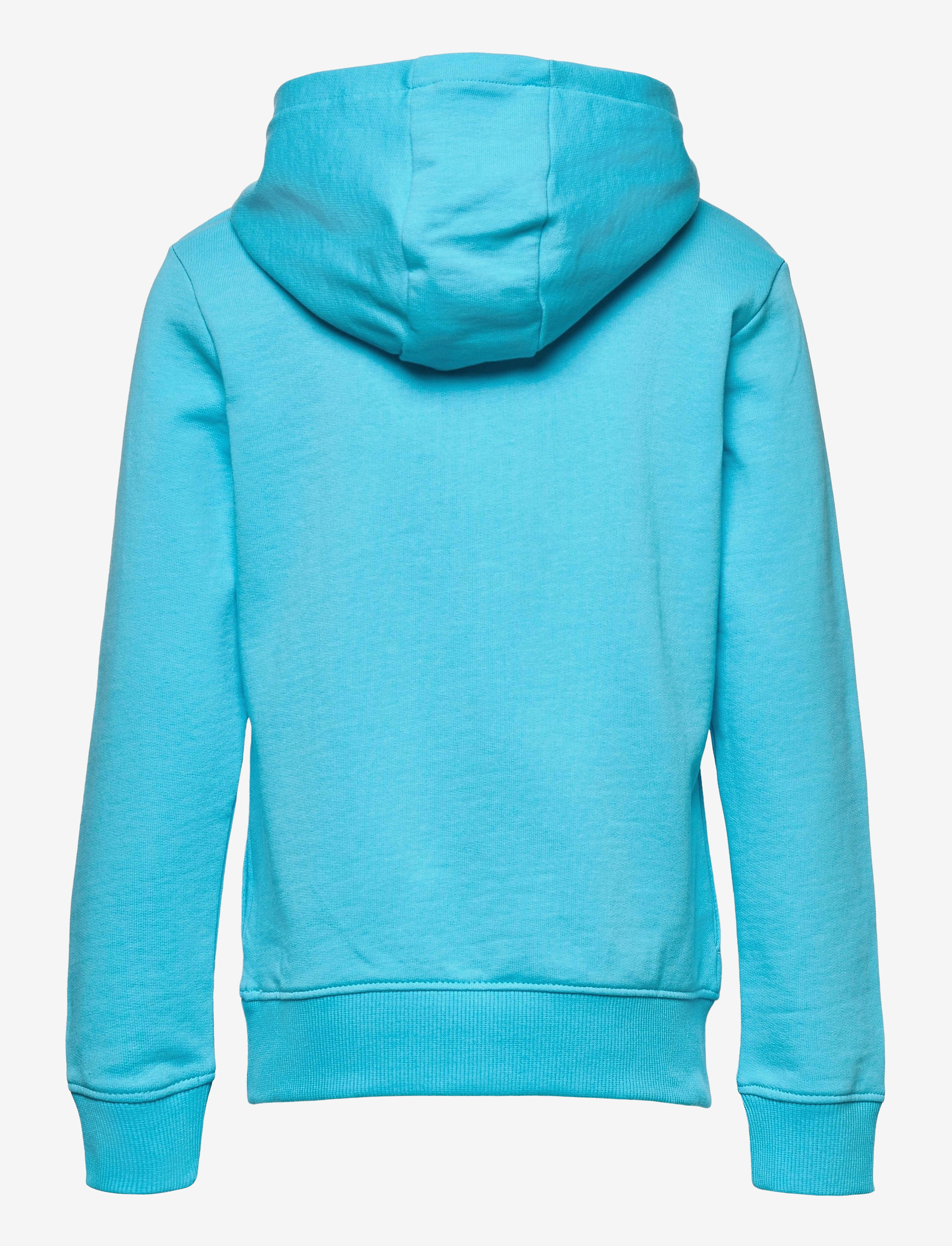 Tommy Hilfiger - ESSENTIAL HOODIE - seashore blue - 1