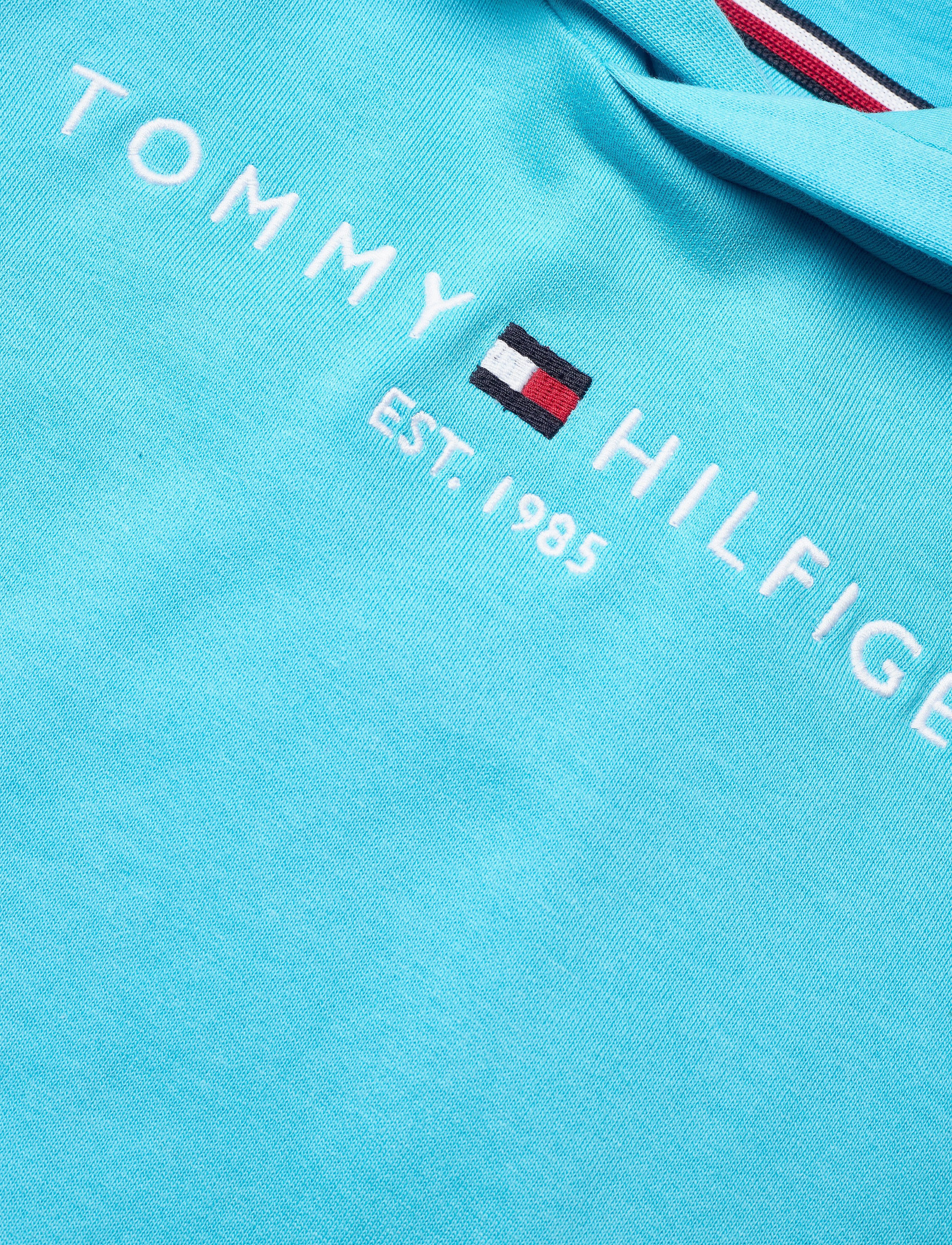 Tommy Hilfiger - ESSENTIAL HOODIE - seashore blue - 2