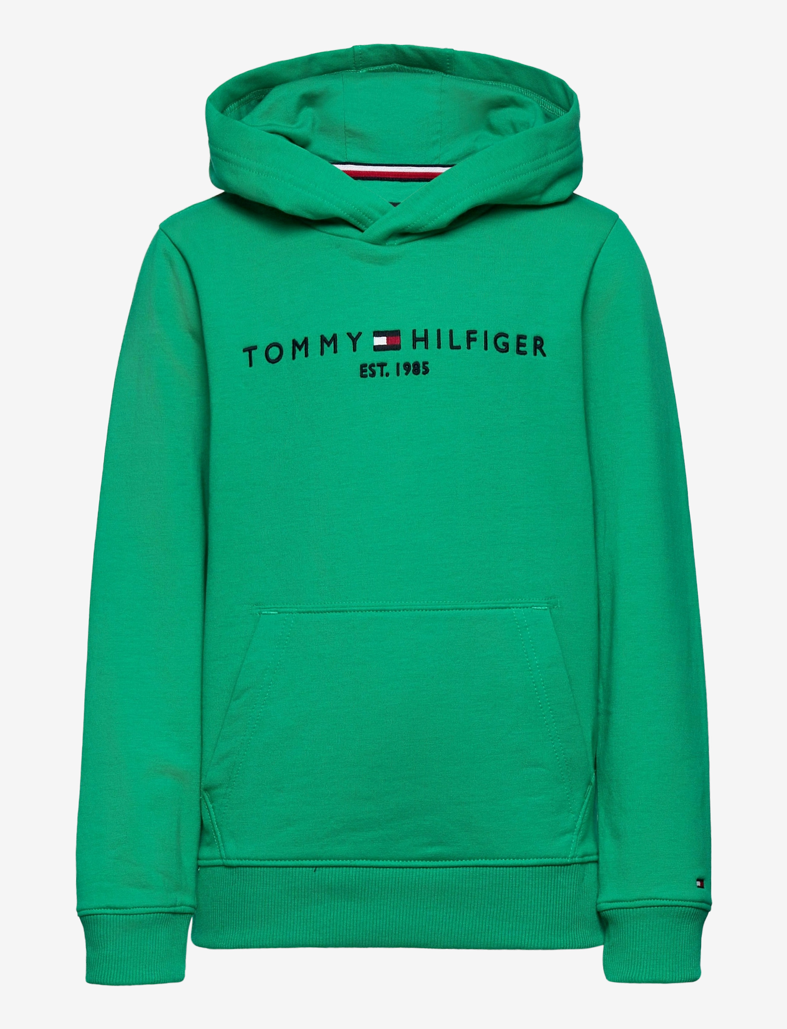 Tommy Hilfiger - ESSENTIAL HOODIE - cosmic green - 0