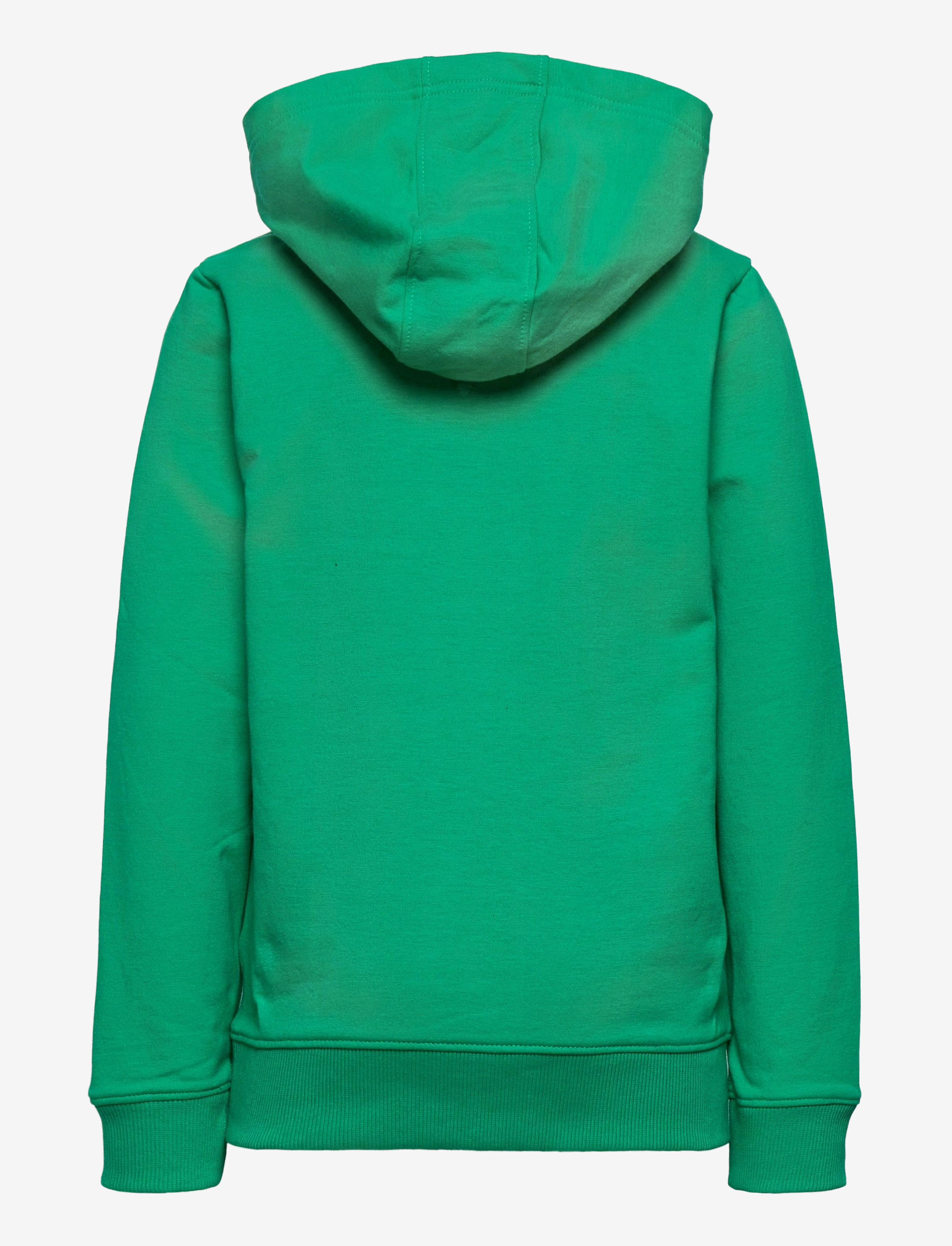 Tommy Hilfiger - ESSENTIAL HOODIE - cosmic green - 1