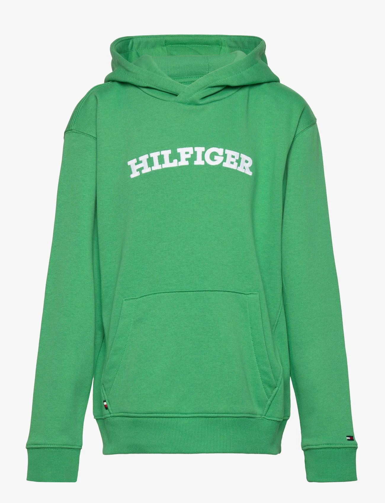 Tommy Hilfiger - HILFIGER ARCHED HOODIE - hoodies - coastal green - 0