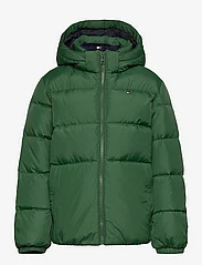 Tommy Hilfiger - ESSENTIAL DOWN JACKET - puffer & padded - collegiate green - 0