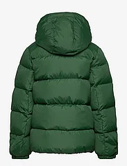 Tommy Hilfiger - ESSENTIAL DOWN JACKET - puffer & padded - collegiate green - 1