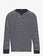 Tommy Hilfiger - ESSENTIAL STRIPES TEE L/S - langærmede t-shirts - navy / white stripes - 0