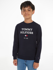 Tommy Hilfiger - TH LOGO SWEATSHIRT - sweatshirts - desert sky - 2