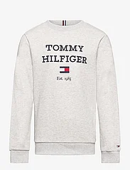 Tommy Hilfiger - TH LOGO SWEATSHIRT - sweatshirts - new light grey heather - 0