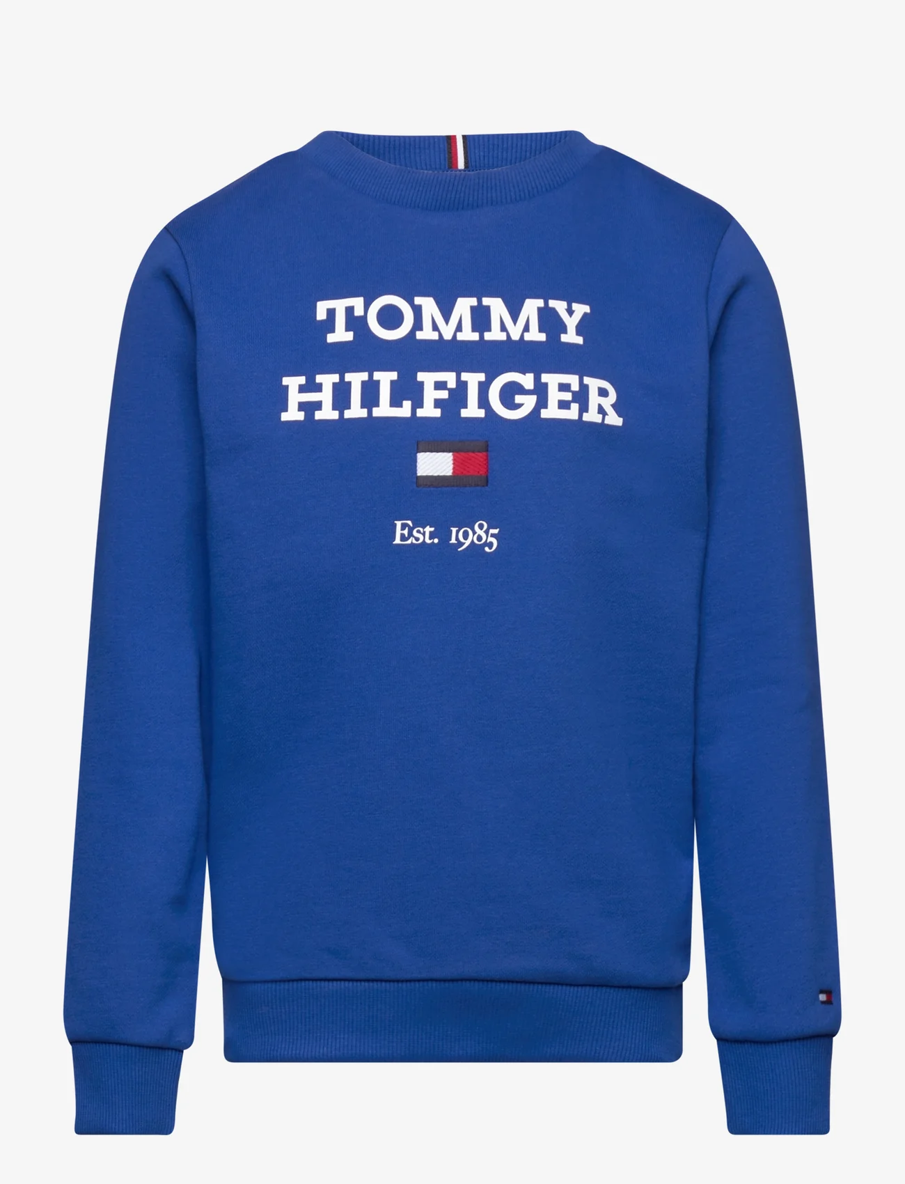 Tommy Hilfiger - TH LOGO SWEATSHIRT - sweatshirts - ultra blue - 0