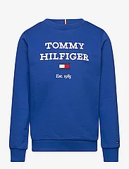 Tommy Hilfiger - TH LOGO SWEATSHIRT - sweatshirts - ultra blue - 0