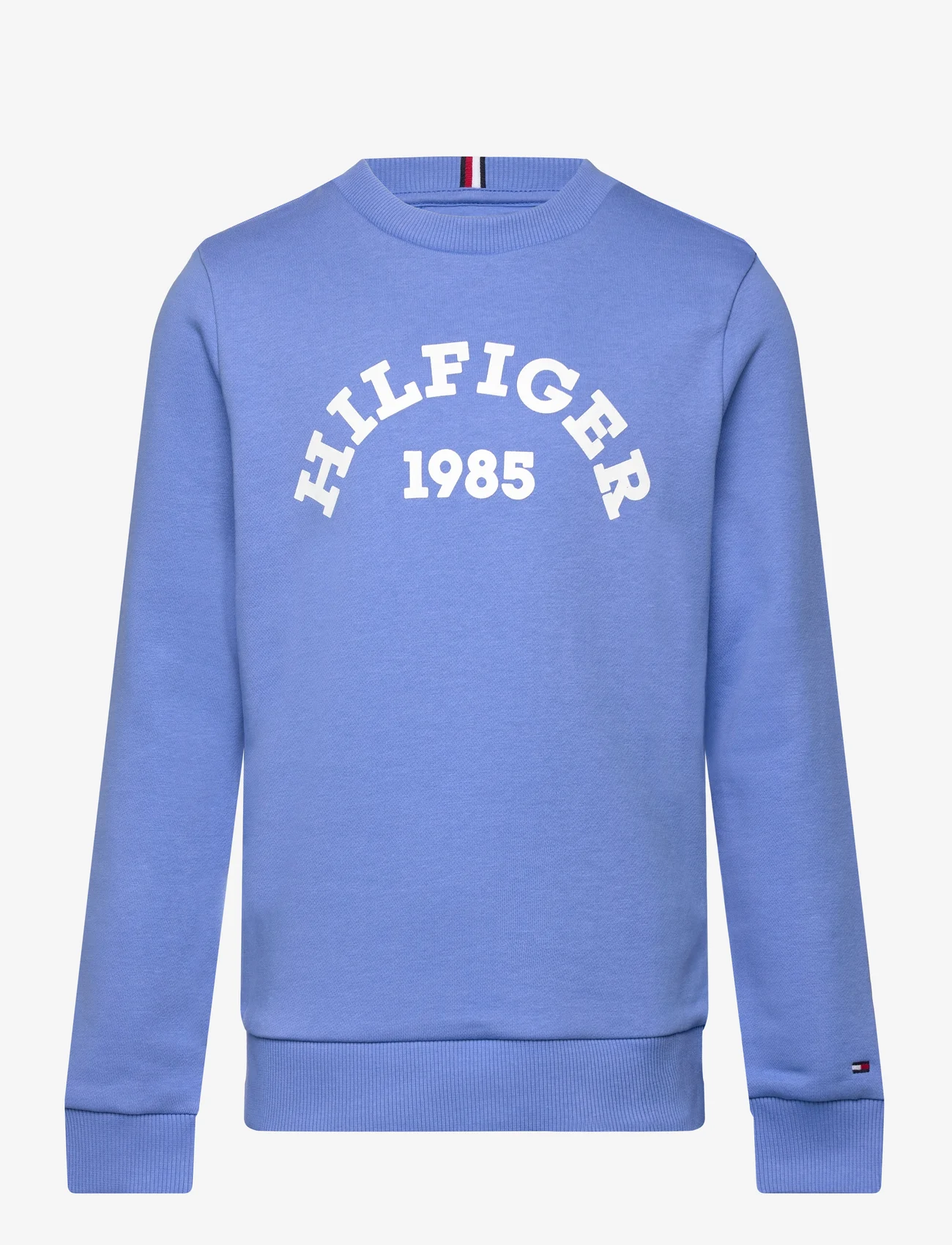 Tommy Hilfiger - HILFIGER 1985 SWEATSHIRT - svetarit - blue spell - 0