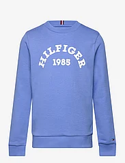 Tommy Hilfiger - HILFIGER 1985 SWEATSHIRT - svetarit - blue spell - 0