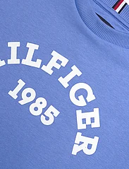Tommy Hilfiger - HILFIGER 1985 SWEATSHIRT - sweatshirts - blue spell - 2