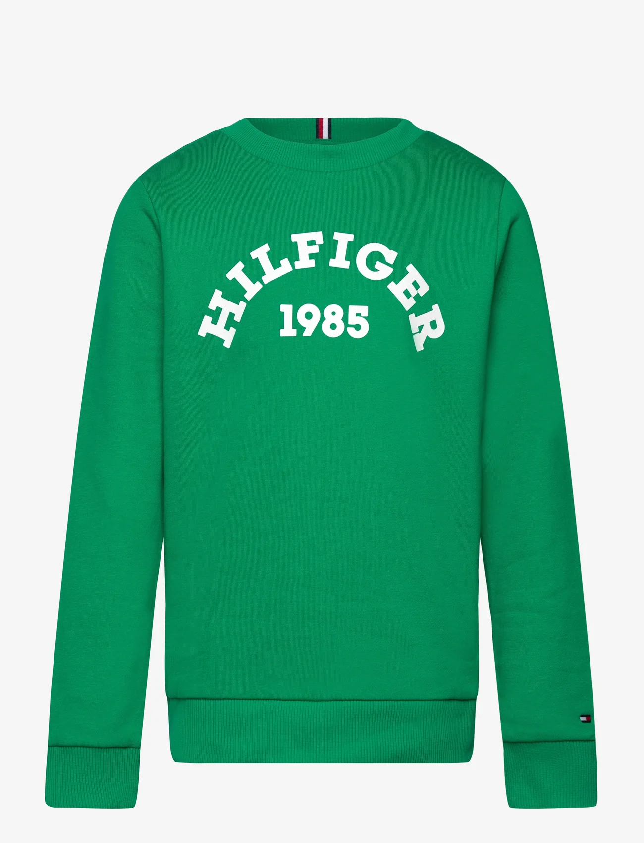 Tommy Hilfiger - HILFIGER 1985 SWEATSHIRT - svetarit - olympic green - 0