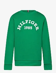 Tommy Hilfiger - HILFIGER 1985 SWEATSHIRT - sweatshirts - olympic green - 0