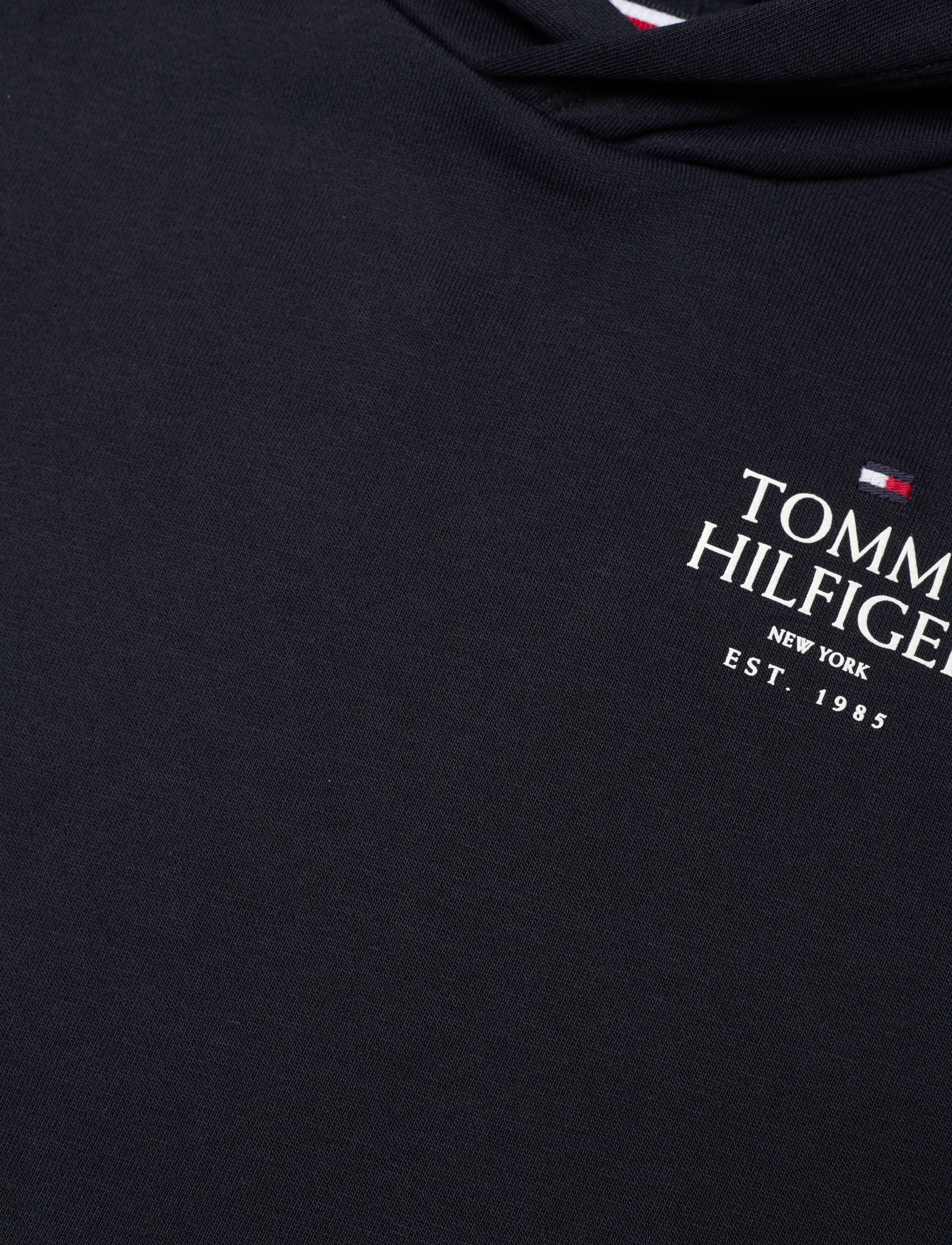 Tommy Hilfiger - TH LOGO PUFF PRINT REG HOODIE - desert sky - 2