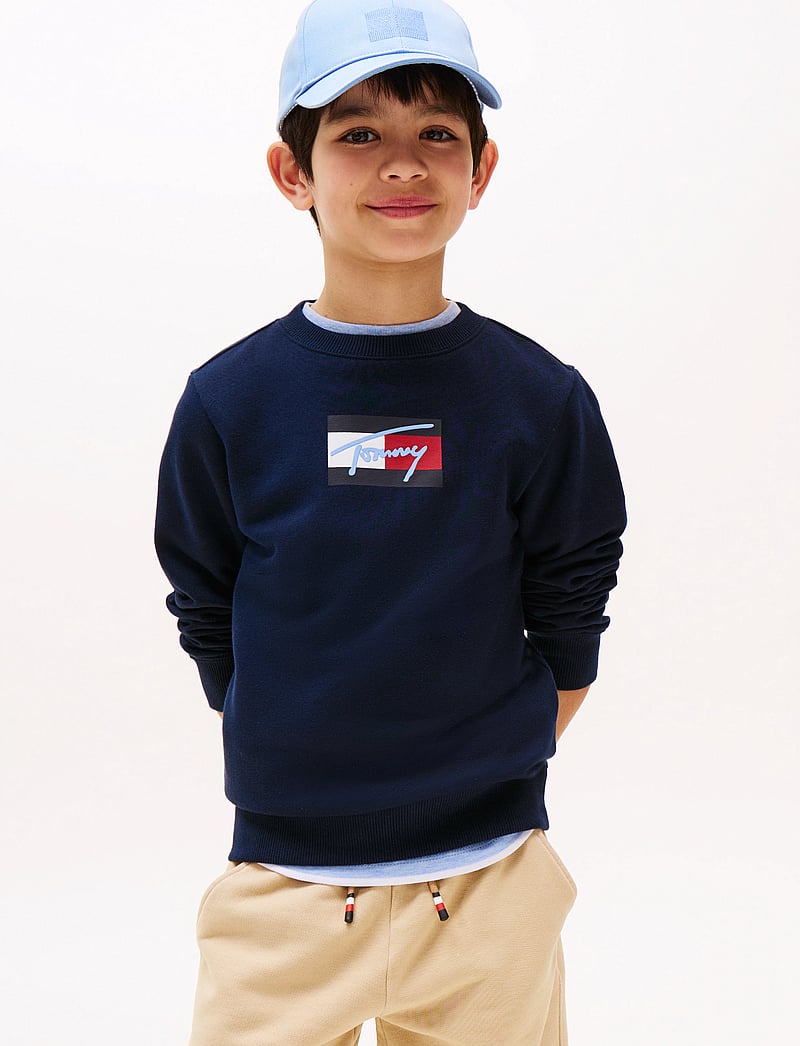 Tommy Hilfiger - TOMMY SCRIPT FLAG SWEATSHIRT - dressipluusid - dark night navy - 0