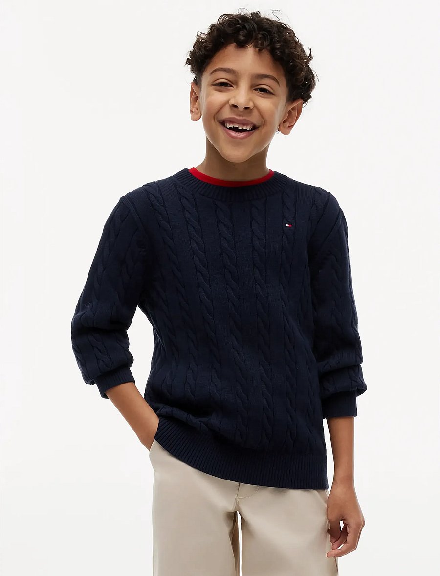 Tommy Hilfiger - COTTON CABLE SWEATER - pullover - dark blue - 0