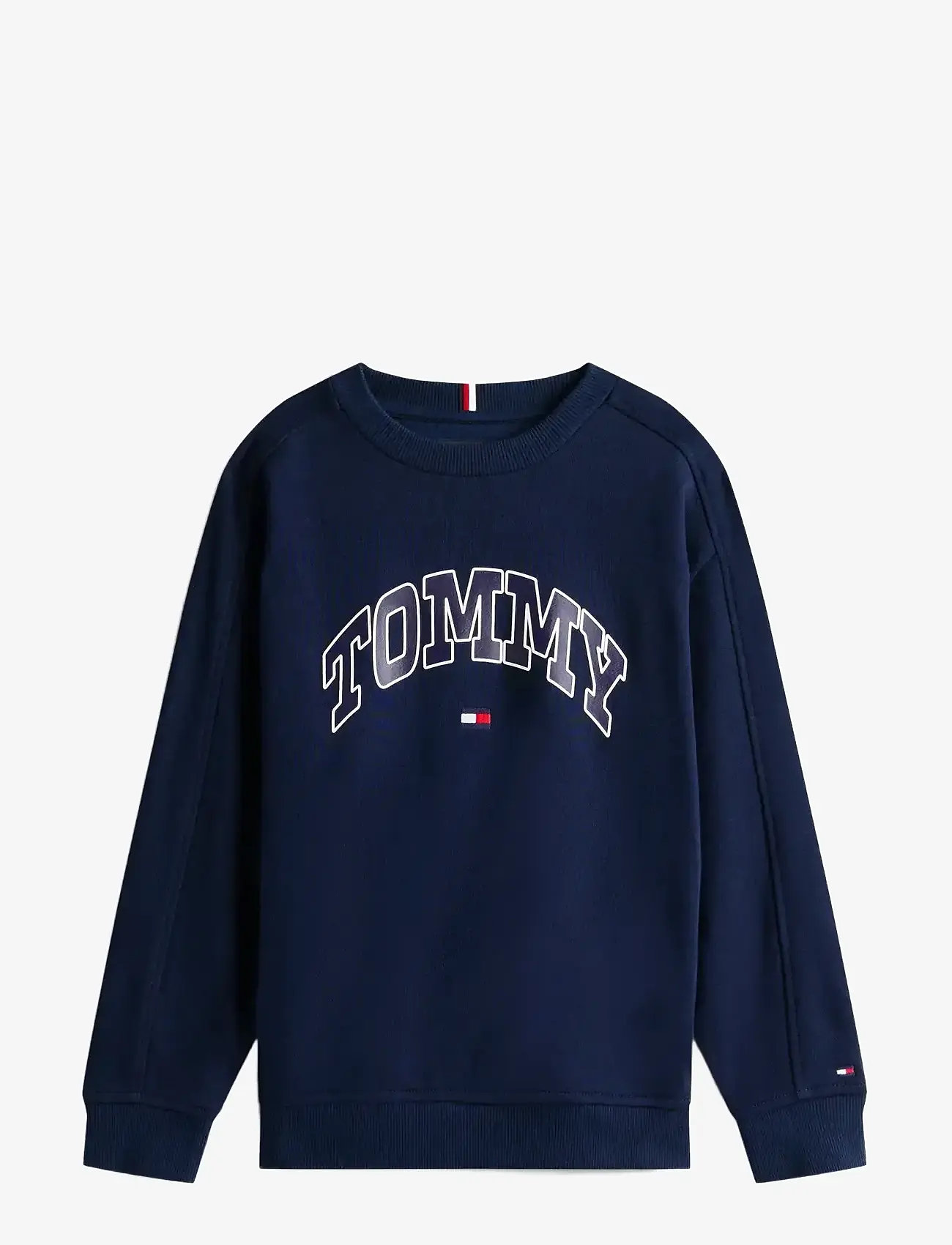 Tommy Hilfiger - VARSITY RAISED PRINT SWEATSHIRT - sweatshirts - dark night navy - 1