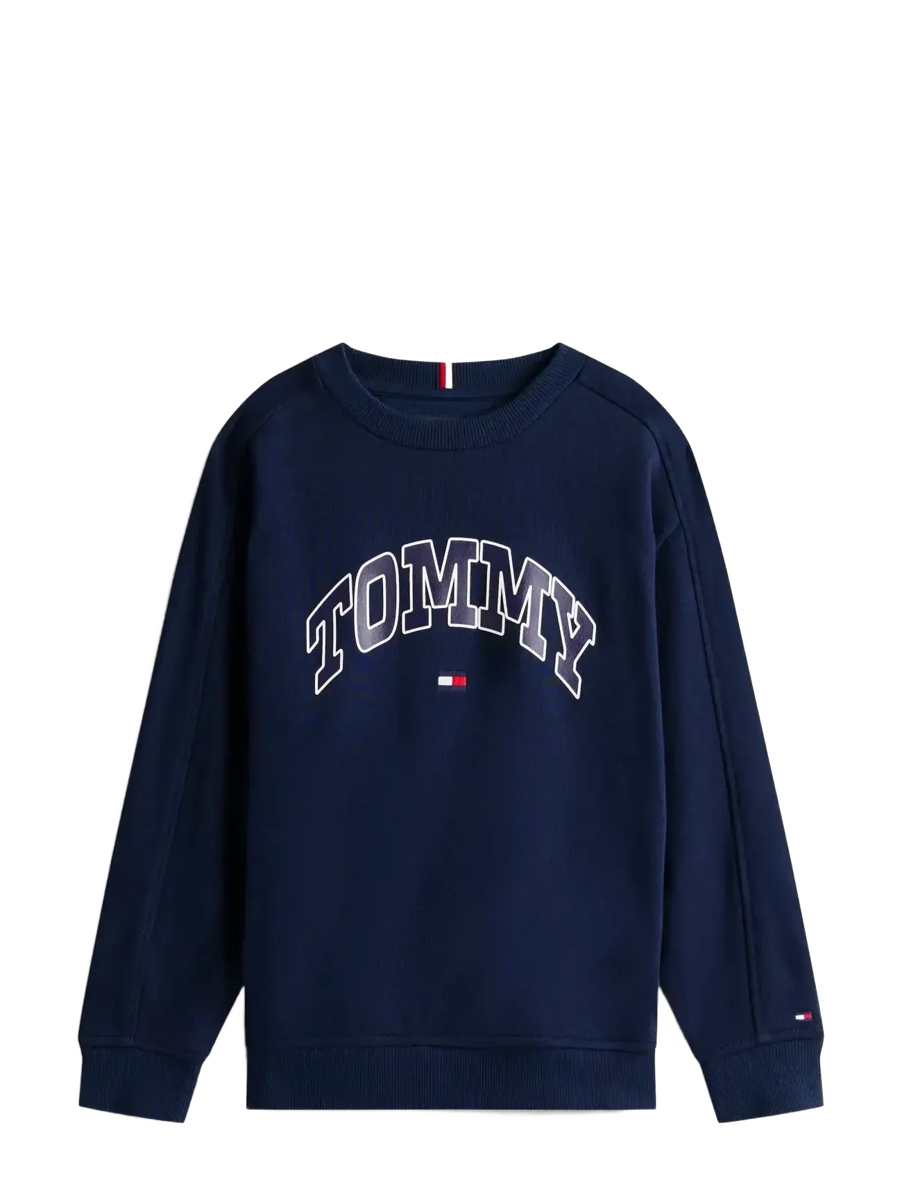 Tommy Hilfiger VARSITY RAISED PRINT SWEATSHIRT - Överdelar - DARK NIGHT NAVY / blue