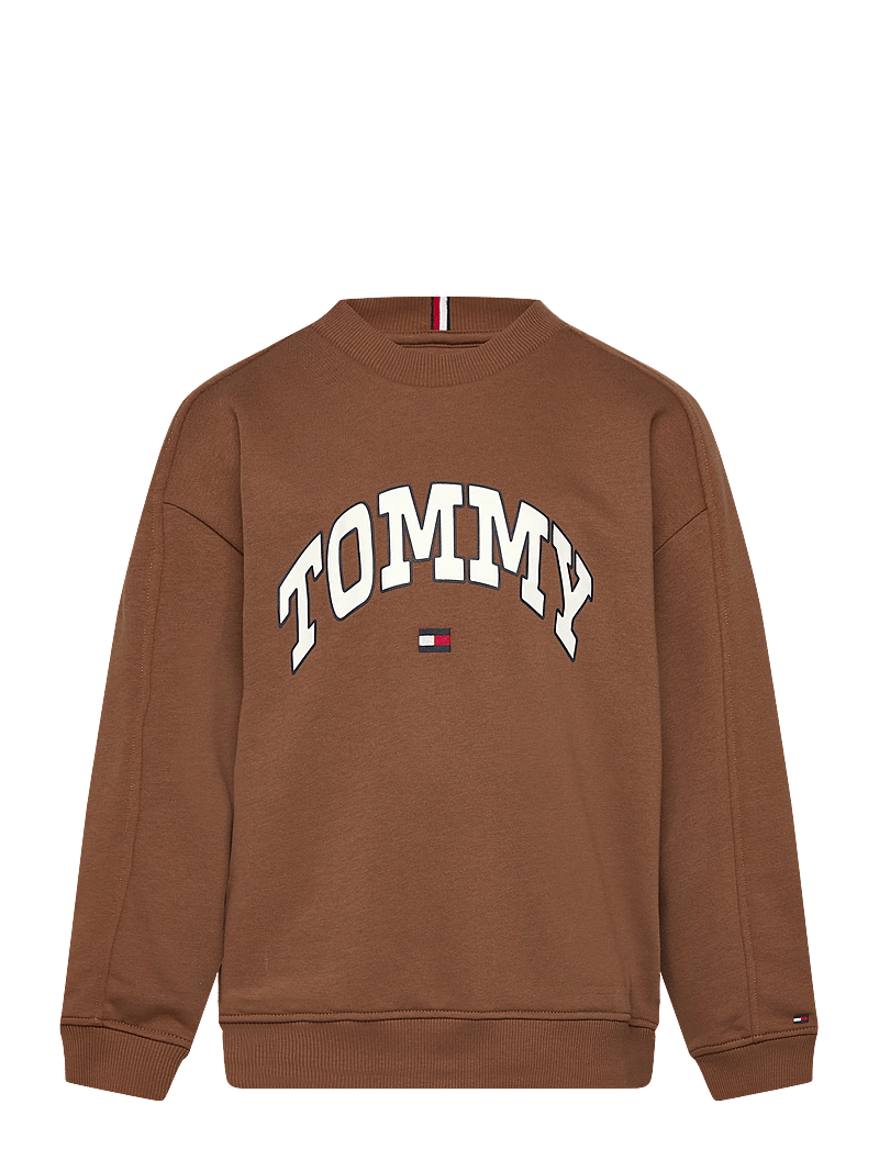 Tommy Hilfiger - VARSITY RAISED PRINT SWEATSHIRT - sweatshirts - pecan nut - 1