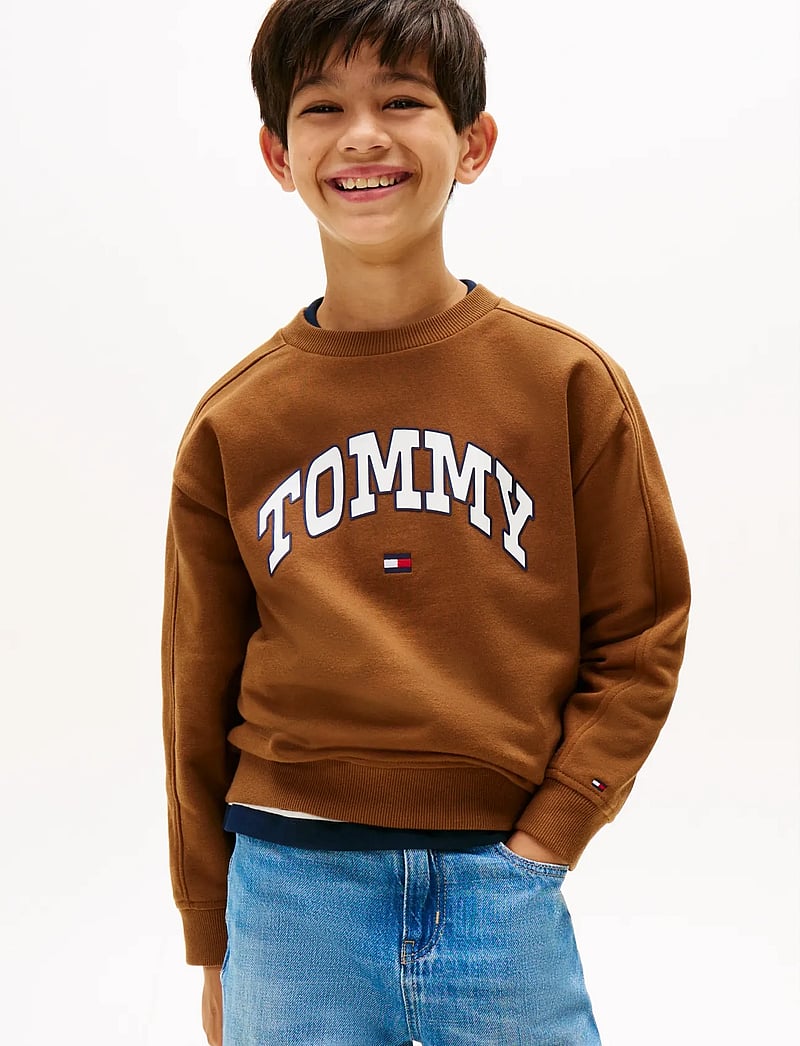 Tommy Hilfiger - VARSITY RAISED PRINT SWEATSHIRT - sweatshirts - pecan nut - 0