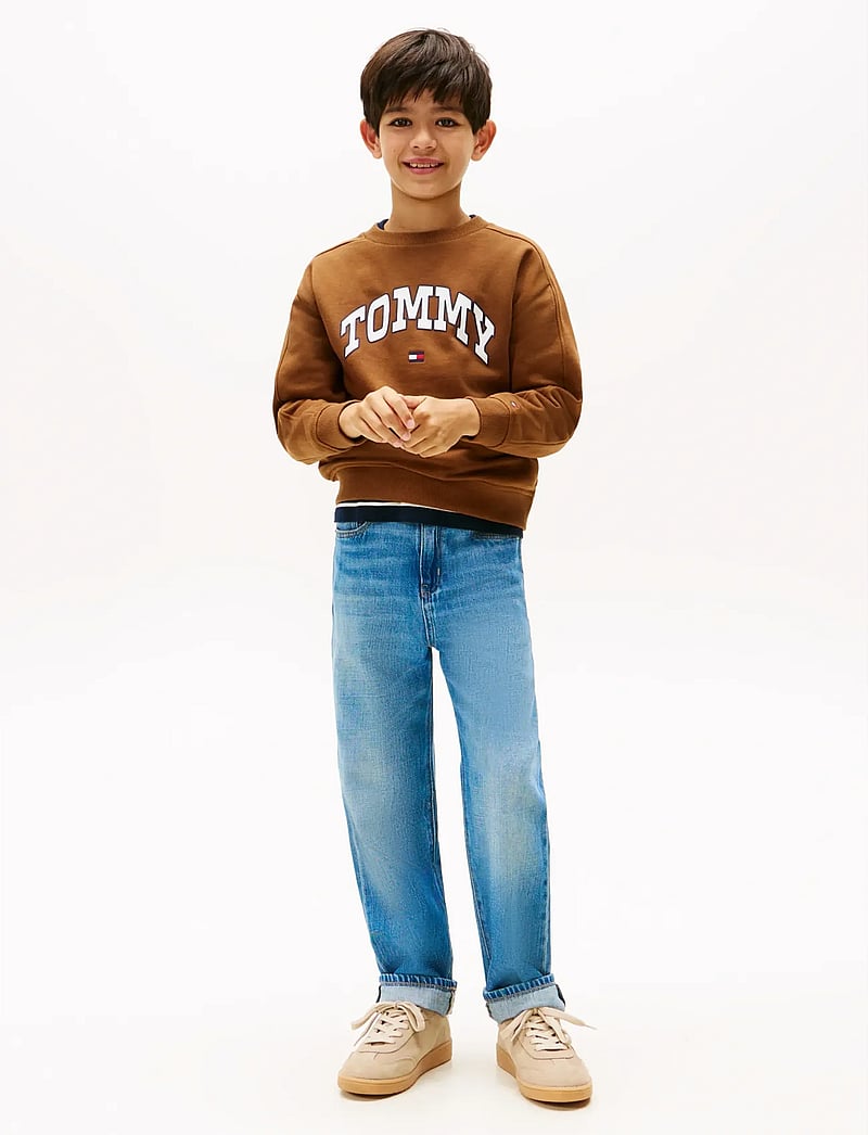 Tommy Hilfiger - VARSITY RAISED PRINT SWEATSHIRT - sweatshirts - pecan nut - 3