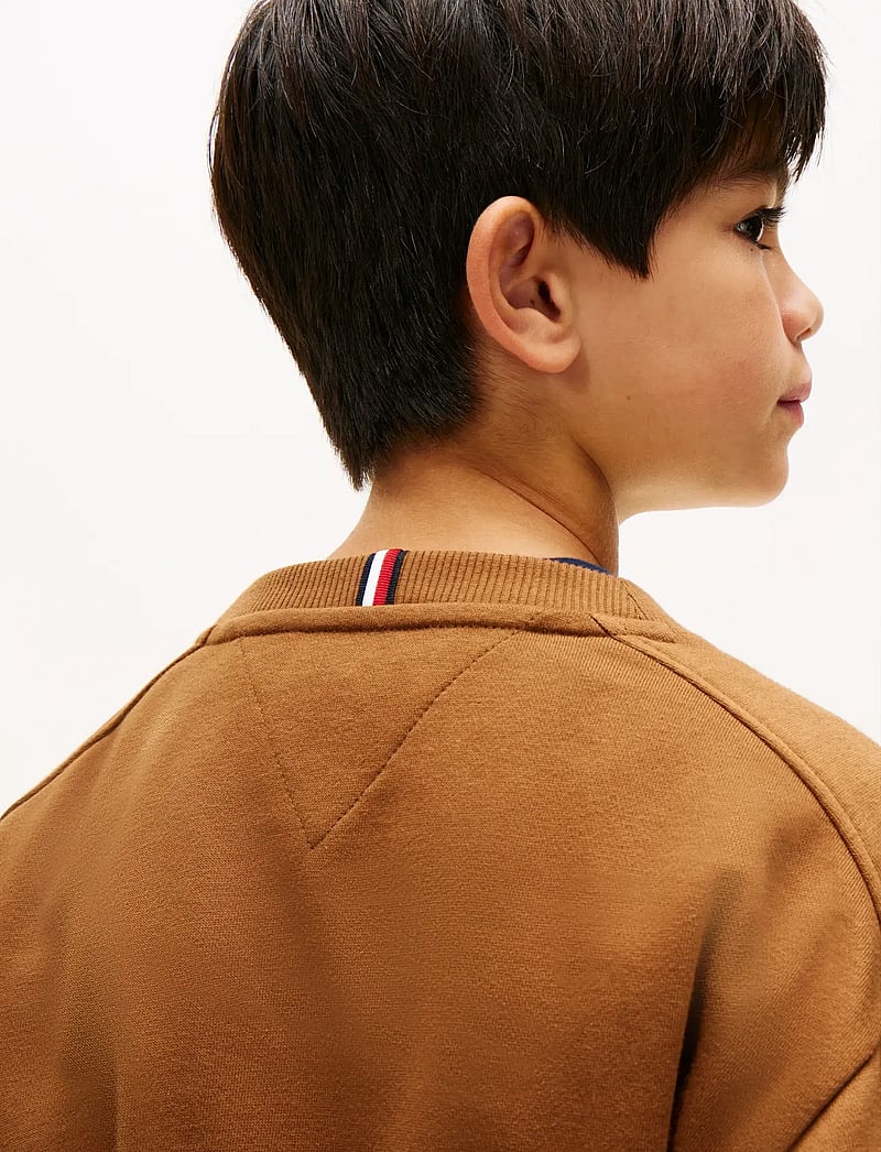 Tommy Hilfiger - VARSITY RAISED PRINT SWEATSHIRT - sweatshirts - pecan nut - 5