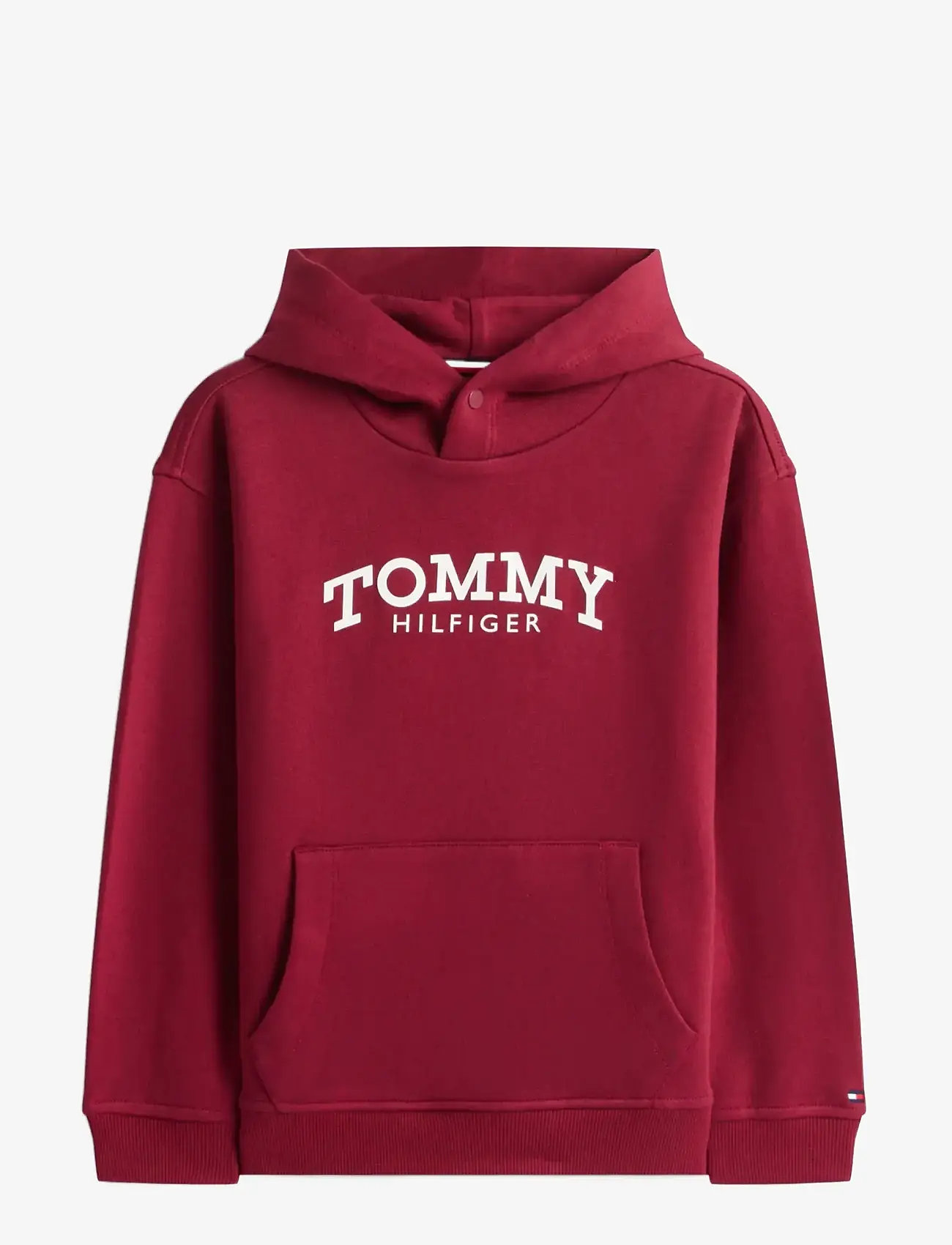 Tommy Hilfiger - MONOTYPE PRINT HOODIE - hættetrøjer - rich cherry - 1