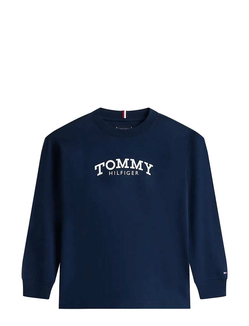 Tommy Hilfiger - MONOTYPE PRINT T-SHIRT LS - langärmelig - dark night navy - 1