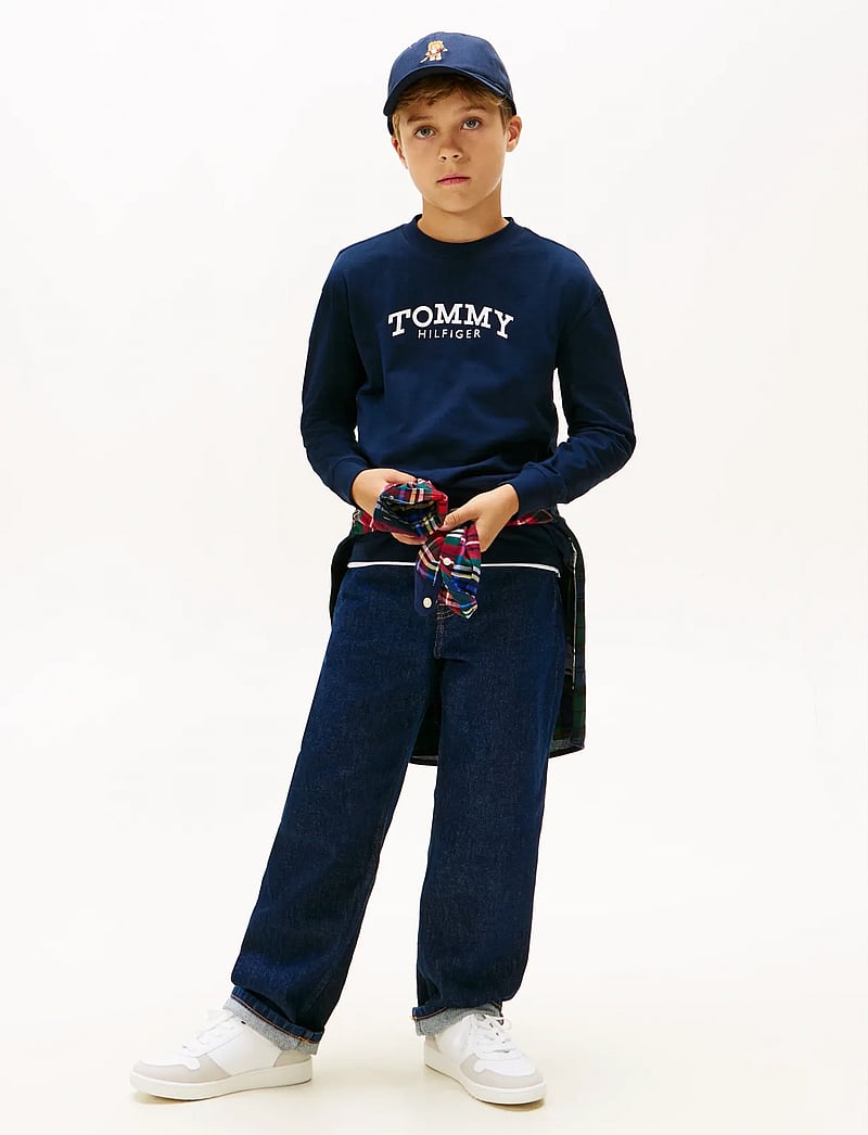 Tommy Hilfiger - MONOTYPE PRINT T-SHIRT LS - langärmelig - dark night navy - 2