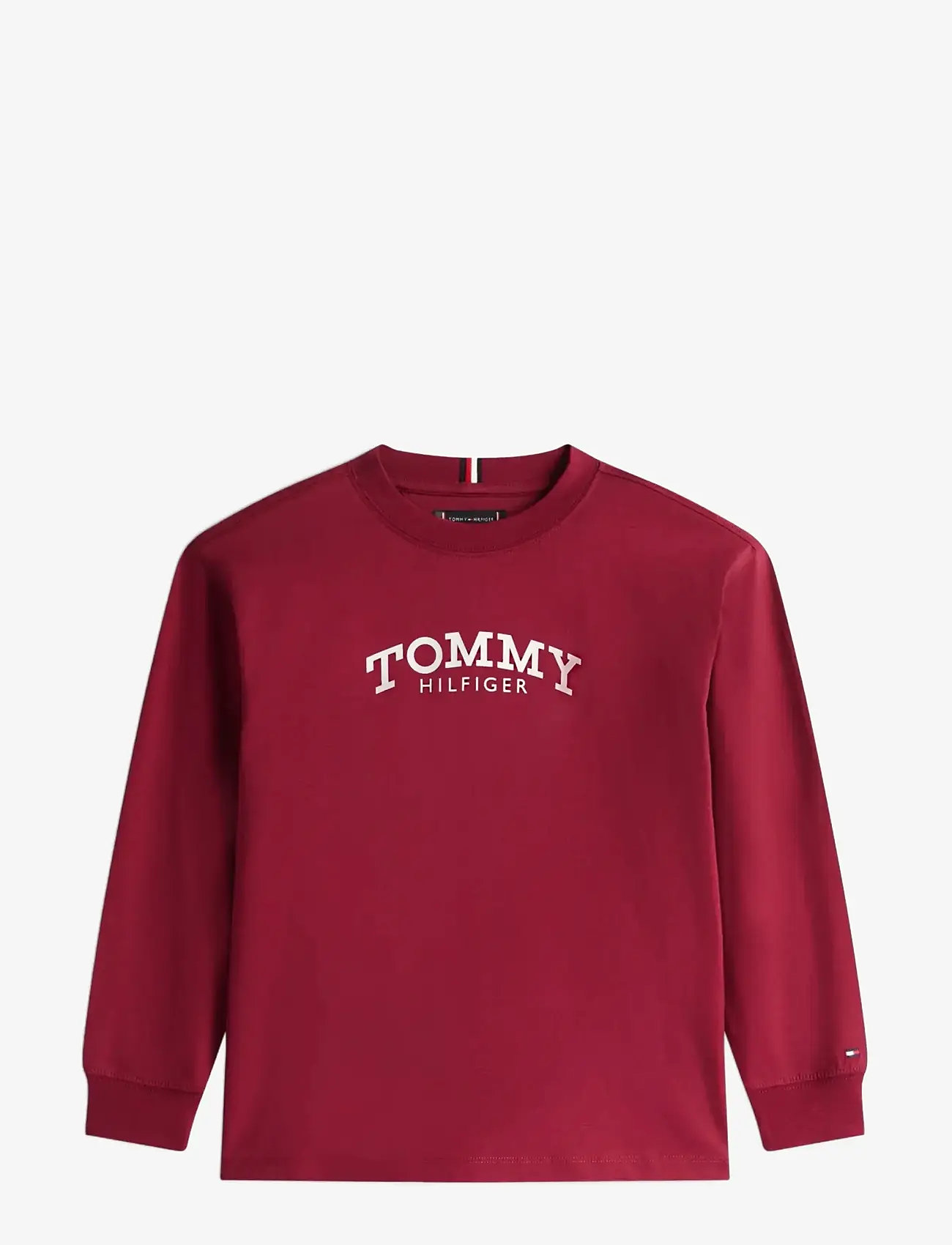 Tommy Hilfiger - MONOTYPE PRINT T-SHIRT LS - langærmede t-shirts - rich cherry - 1