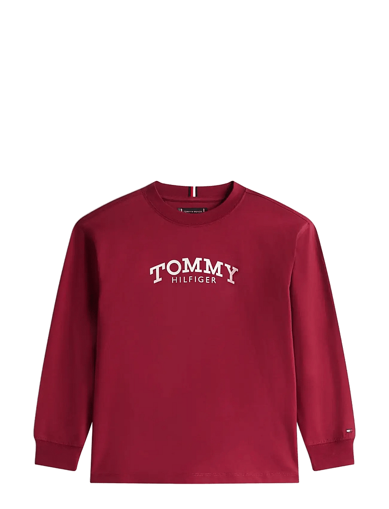 Tommy Hilfiger - MONOTYPE PRINT T-SHIRT LS - langärmelig - rich cherry - 1