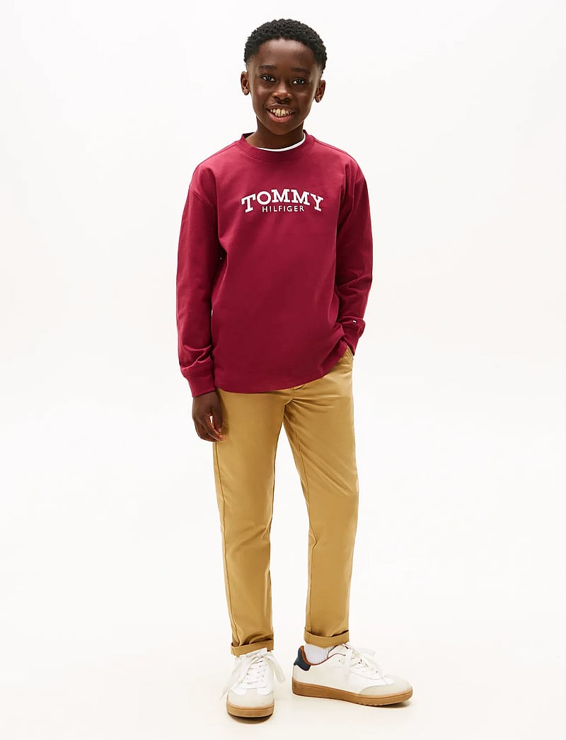 Tommy Hilfiger - MONOTYPE PRINT T-SHIRT LS - langärmelig - rich cherry - 2