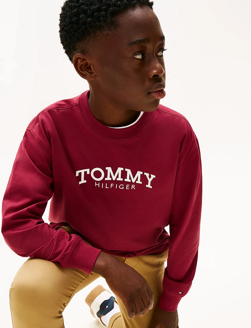 Tommy Hilfiger - MONOTYPE PRINT T-SHIRT LS - langärmelig - rich cherry - 4