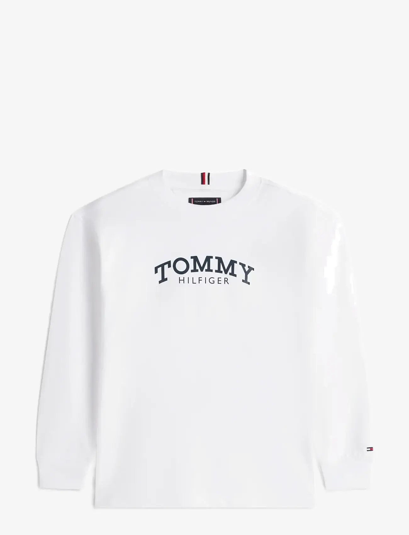 Tommy Hilfiger - MONOTYPE PRINT T-SHIRT LS - pitkähihaiset t-paidat - white - 1
