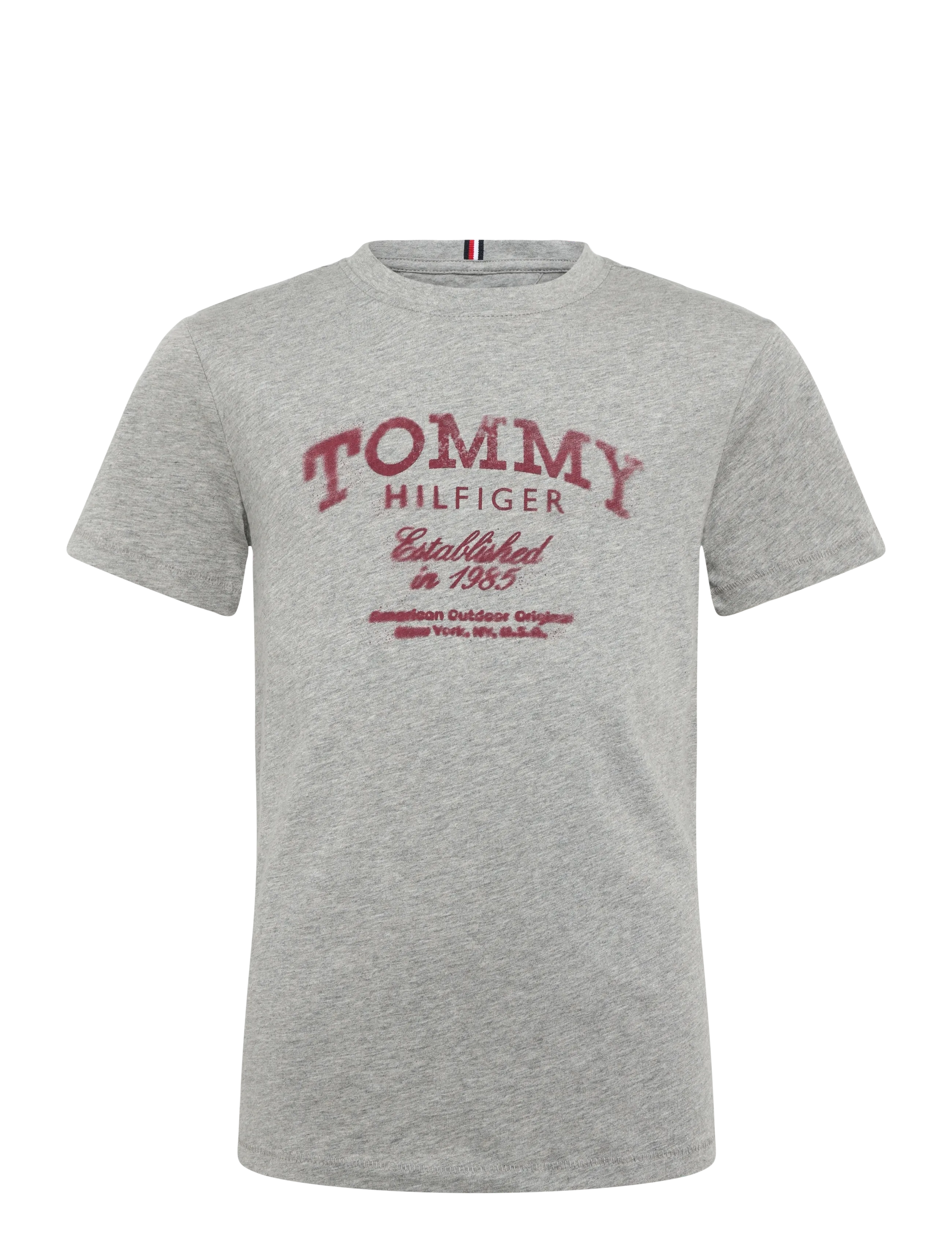 Tommy Hilfiger TOMMY FADED PRINT T-SHIRT SS - Clothing - MID GREY HEATHER / grey