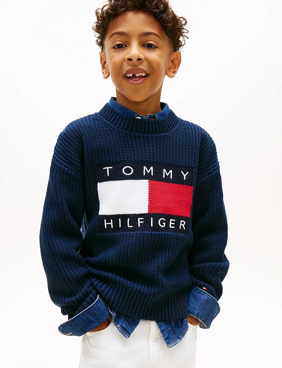 Tommy Hilfiger - HERITAGE FLAG SWEATER - pullover - dark night navy - 0
