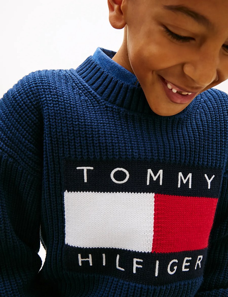 Tommy Hilfiger - HERITAGE FLAG SWEATER - pullover - dark night navy - 4