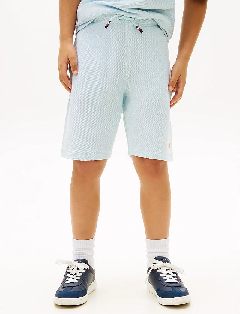 Tommy Hilfiger - TH SCRIPT JERSEY TWILL SHORT - sweatshorts - keepsake blue - 0