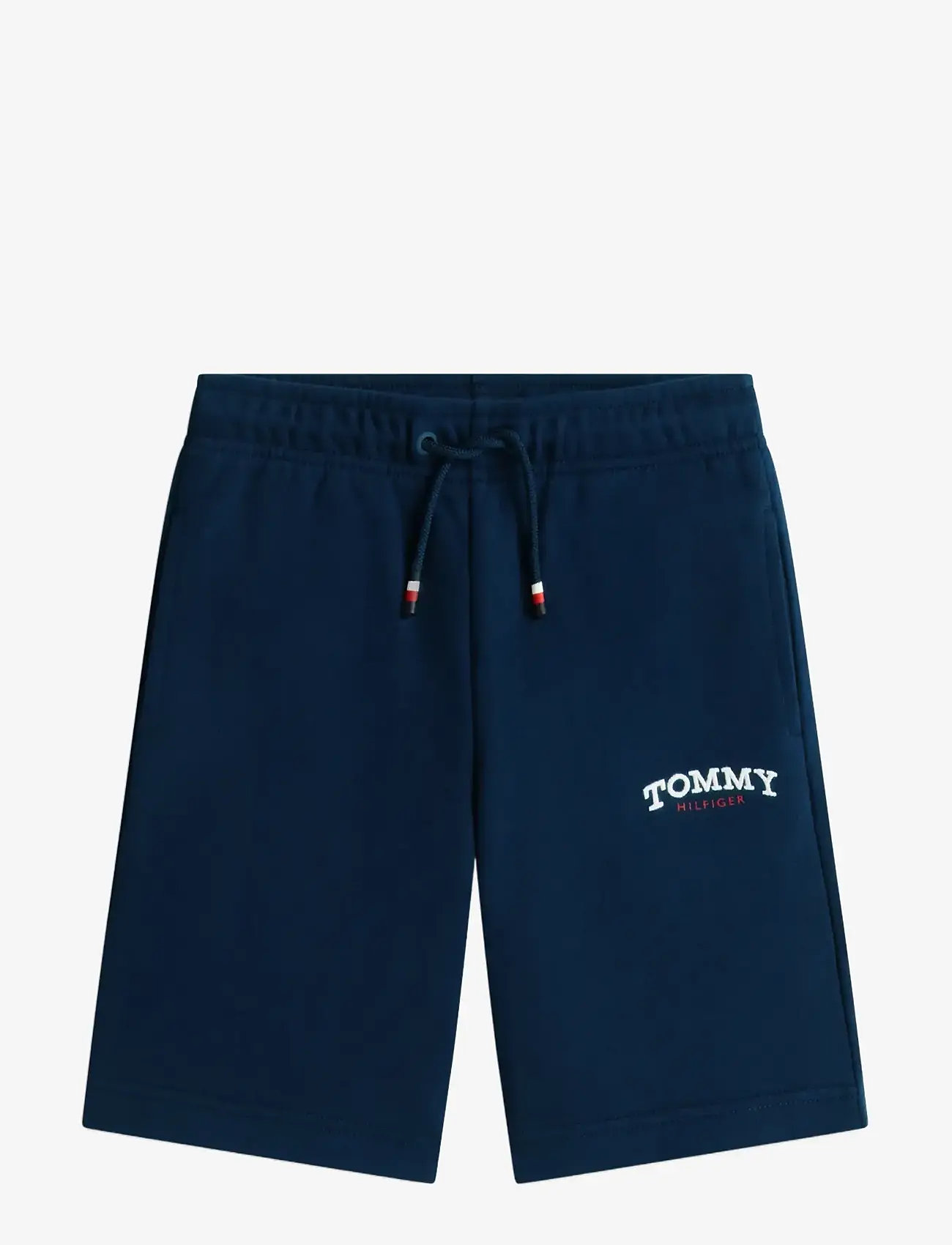 Tommy Hilfiger - MONOTYPE GRAPHIC SWEATSHORT - sweatshorts - dark night navy - 1