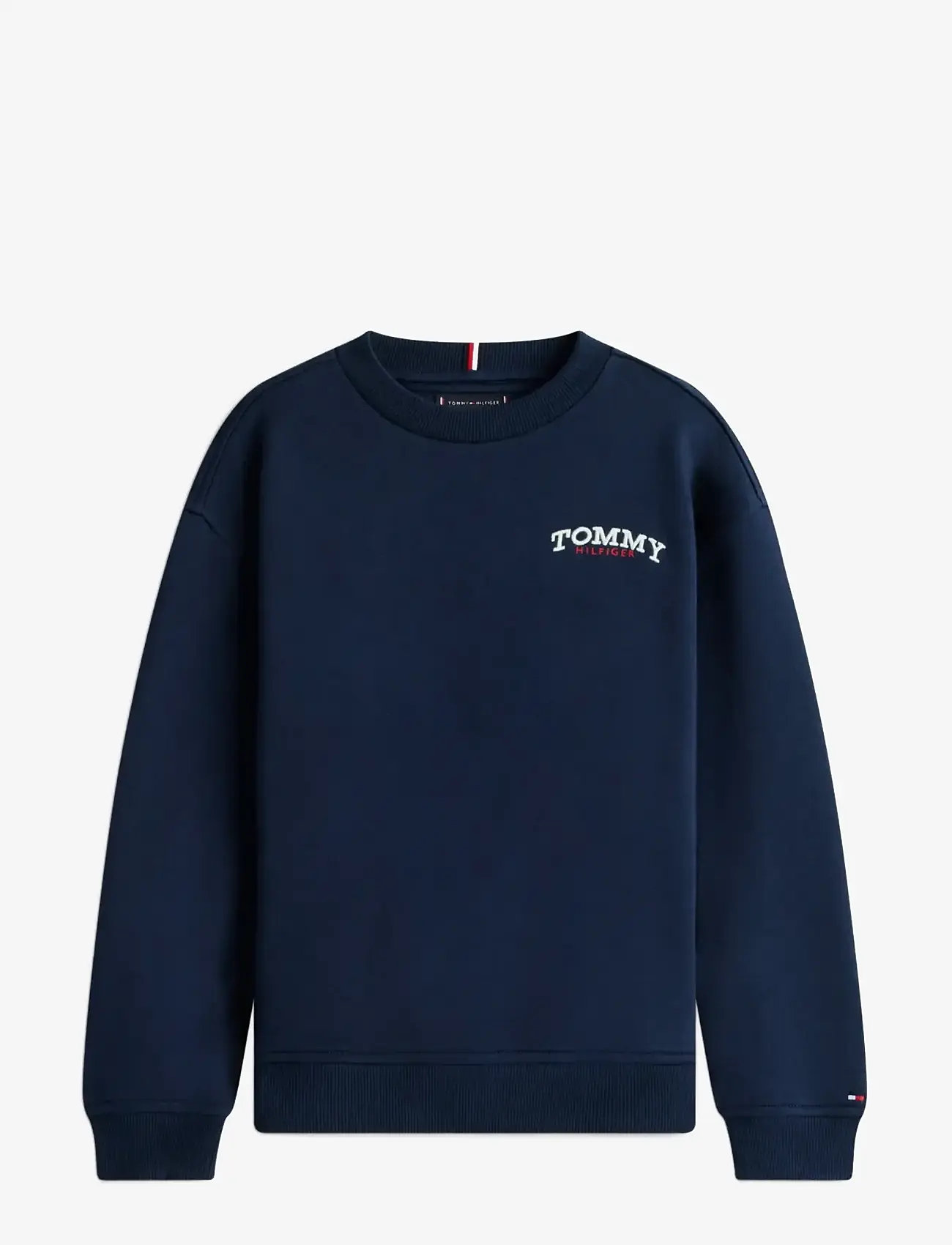 Tommy Hilfiger - MONOTYPE GRAPHIC SWEATSHIRT - sweatshirts - dark night navy - 1