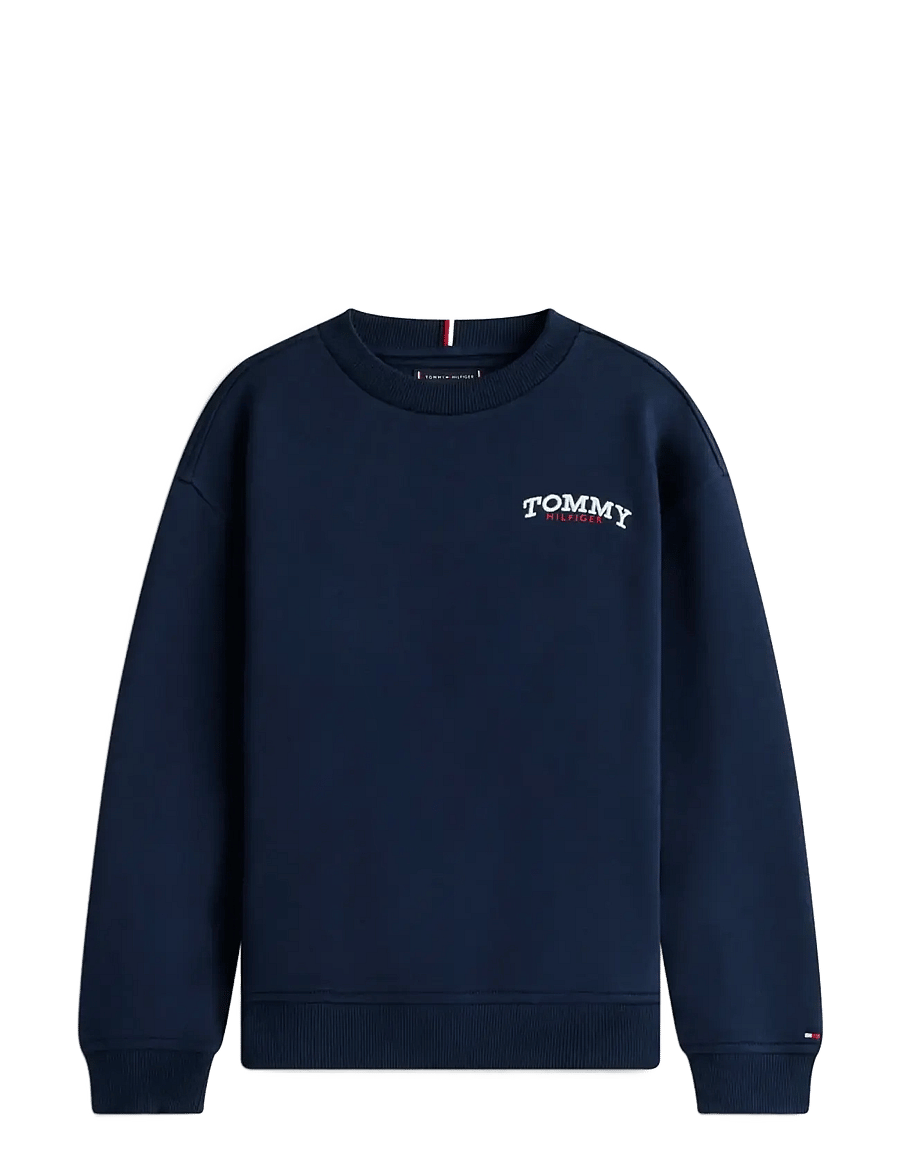 Tommy Hilfiger - MONOTYPE GRAPHIC SWEATSHIRT - sweatshirts - dark night navy - 1