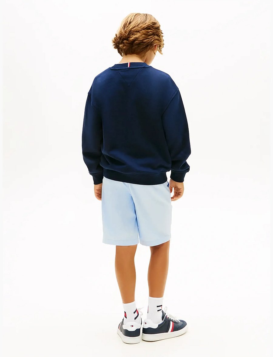 Tommy Hilfiger - MONOTYPE GRAPHIC SWEATSHIRT - sweatshirts - dark night navy - 2
