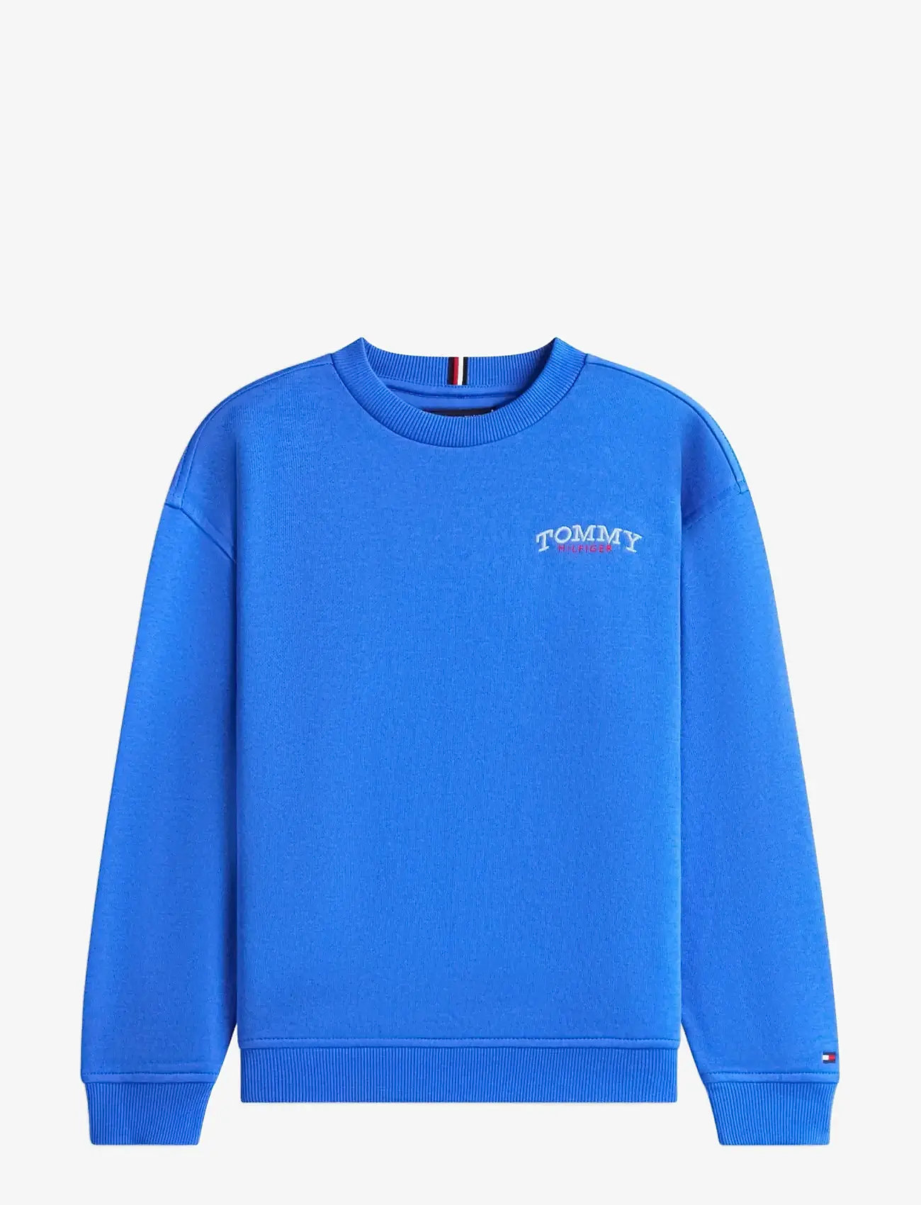 Tommy Hilfiger - MONOTYPE GRAPHIC SWEATSHIRT - sweatshirts - empire blue - 1