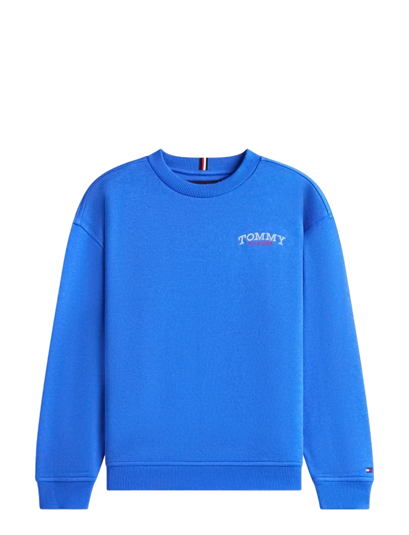 Tommy Hilfiger MONOTYPE GRAPHIC SWEATSHIRT - Sweatshirts & Hoodies - EMPIRE BLUE / blue