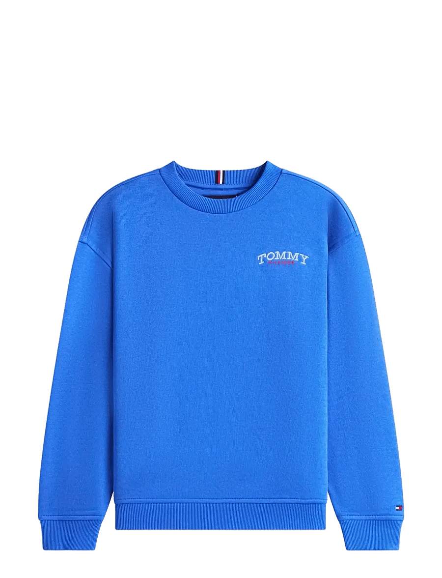 Tommy Hilfiger - MONOTYPE GRAPHIC SWEATSHIRT - sweatshirts - empire blue - 1