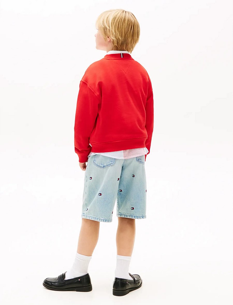 Tommy Hilfiger - MONOTYPE GRAPHIC SWEATSHIRT - sweatshirts - rapid red - 2