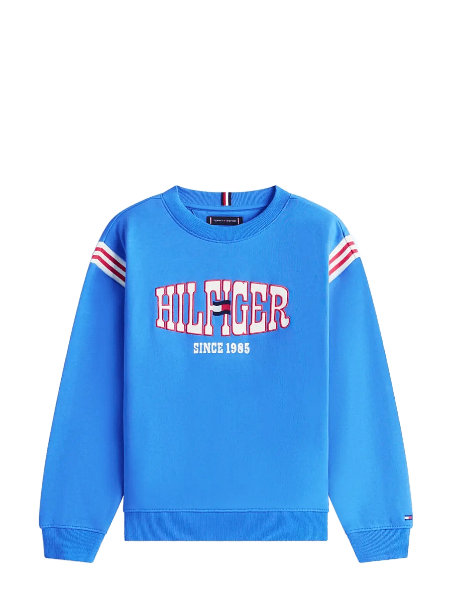 Tommy Hilfiger - LOS ANGELES GRAPHIC SWEATSHIRT - sweatshirts - empire blue - 1