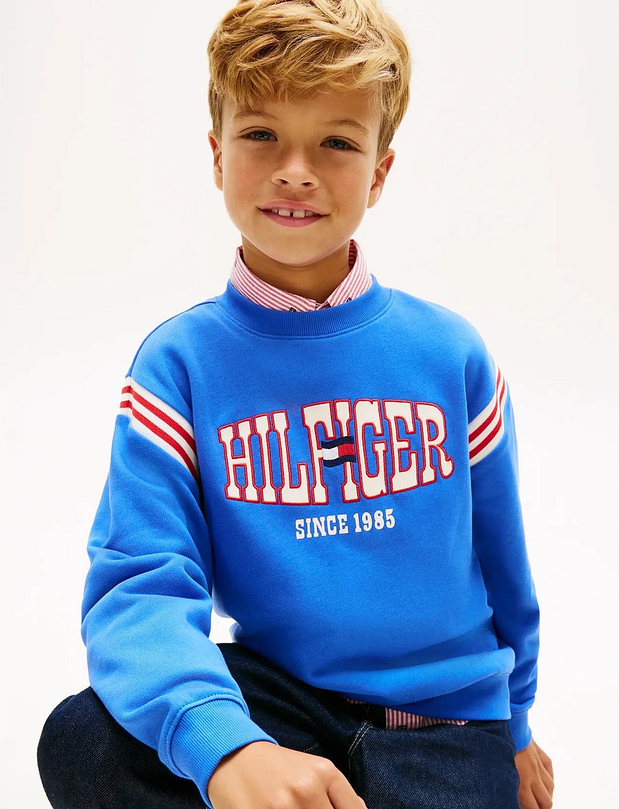 Tommy Hilfiger - LOS ANGELES GRAPHIC SWEATSHIRT - sweatshirts - empire blue - 4